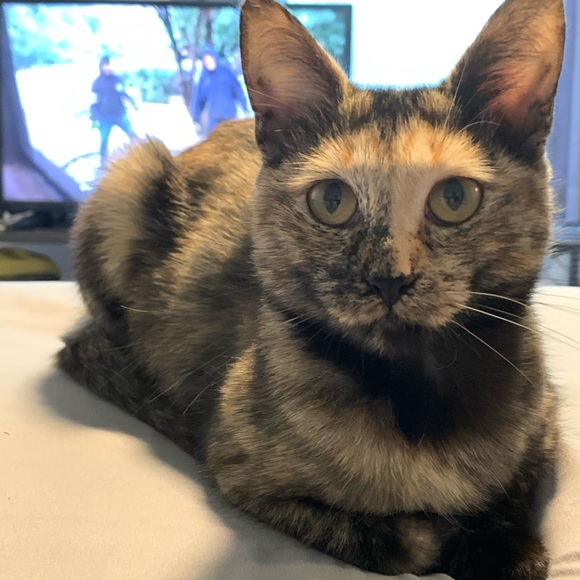 Hi I’m Jess! - Picture 3 of 4